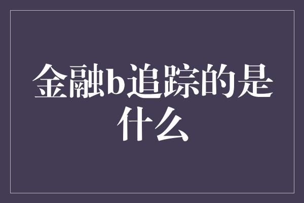 金融b追踪的是什么