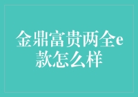 金鼎富贵两全e款：财富保障与人生规划的新选择