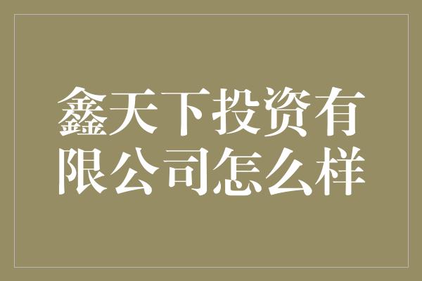 鑫天下投资有限公司怎么样