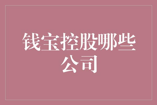 钱宝控股哪些公司