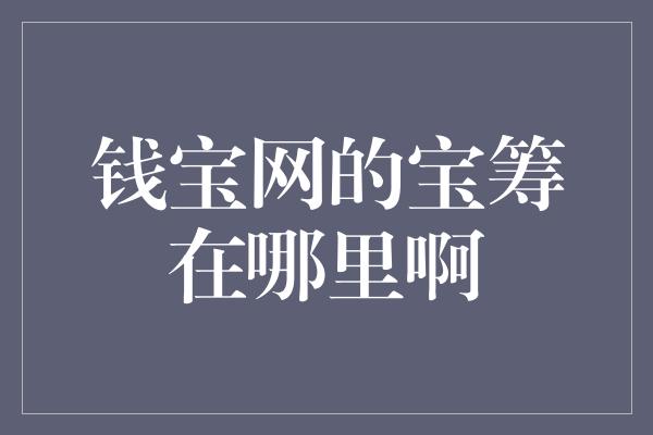 钱宝网的宝筹在哪里啊