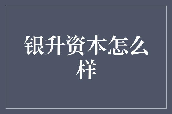 银升资本怎么样