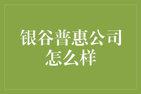 银谷普惠公司怎么样