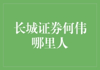 长城证券何伟：一位来自河南郑州的金融精英