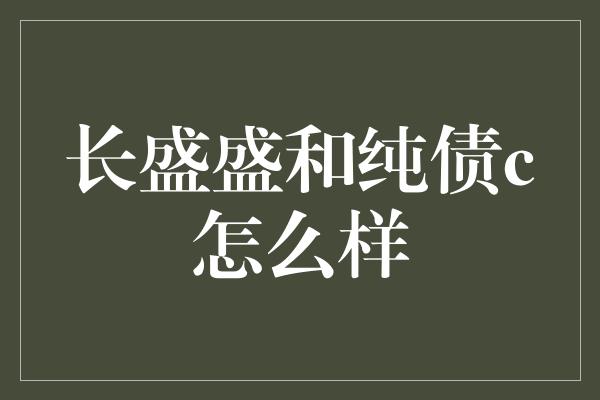 长盛盛和纯债c怎么样