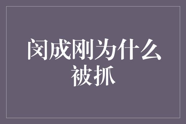 闵成刚为什么被抓