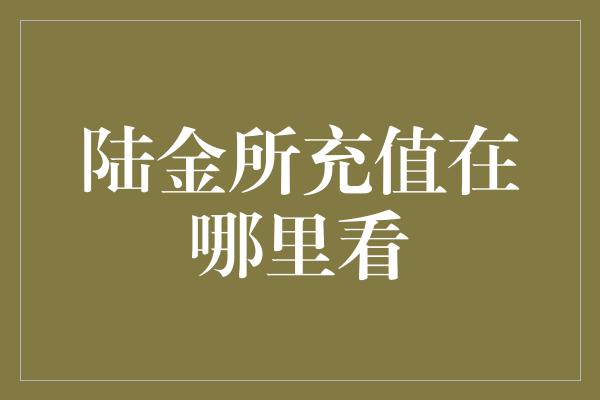 陆金所充值在哪里看