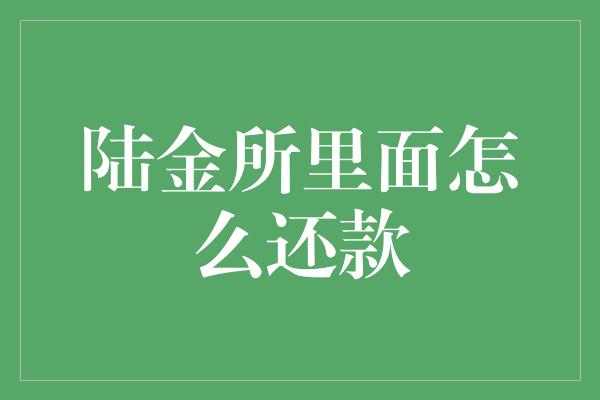 陆金所里面怎么还款