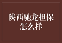 陕西驰龙担保：构建风险控制体系与市场竞争力的探索