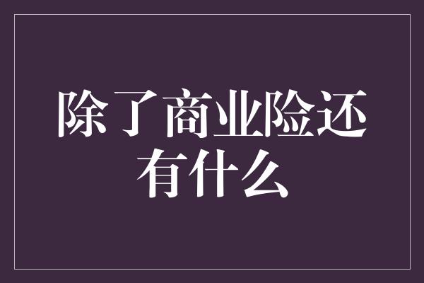 除了商业险还有什么