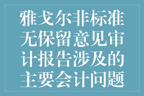 雅戈尔非标准无保留意见审计报告涉及的主要会计问题有哪些