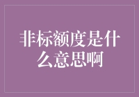 非标额度，听起来像是保险业的黑话？