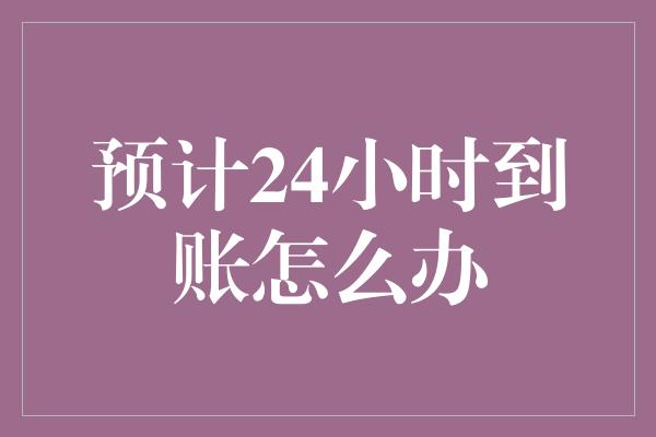 预计24小时到账怎么办