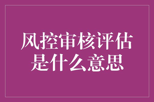 风控审核评估是什么意思