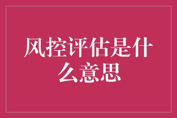 风控评估是什么意思