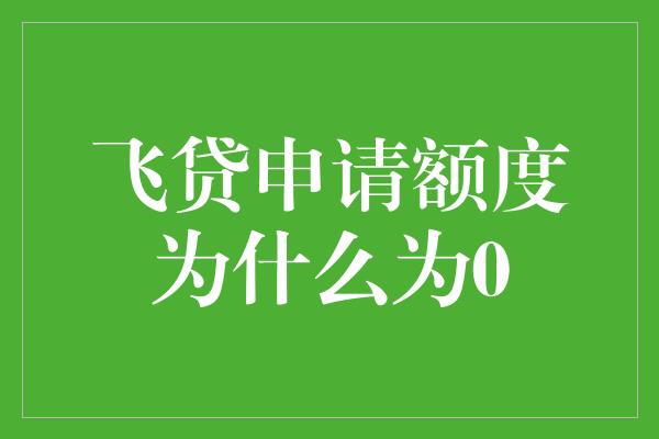 飞贷申请额度为什么为0