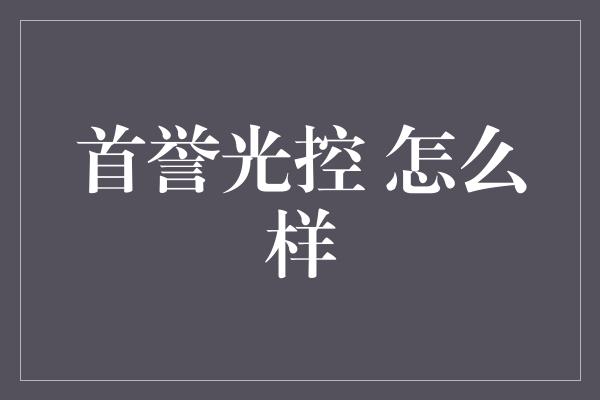 首誉光控 怎么样