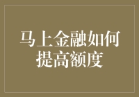 马上金融如何提升个人信用额度：策略与技巧