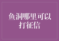 鱼洞居民打征信指南：从鱼塘到征信局，一步一个脚印