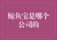 鲸鱼宝供应链金融平台：背后的金蝶国际