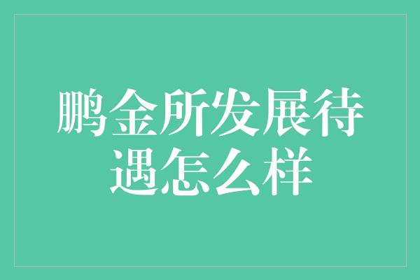 鹏金所发展待遇怎么样