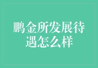 鹏金所发展待遇解析：多元化人才激励机制与行业地位分析