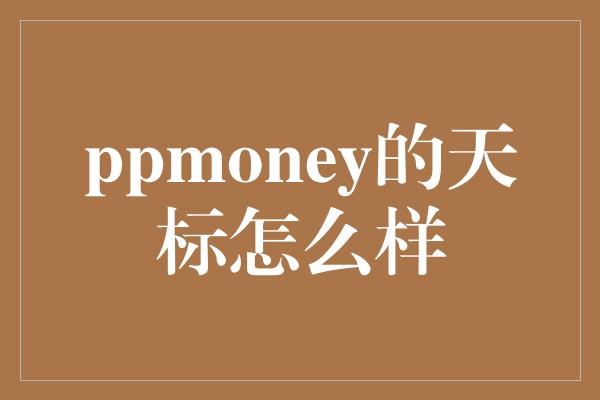 ppmoney的天标怎么样