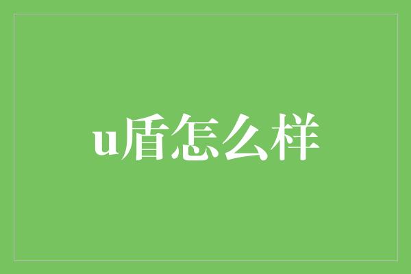 u盾怎么样