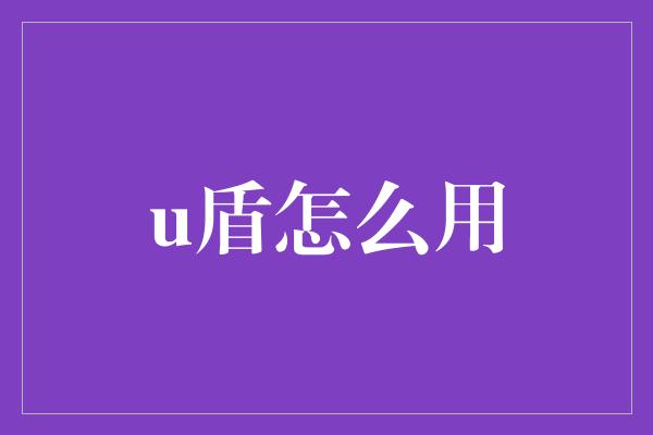 u盾怎么用