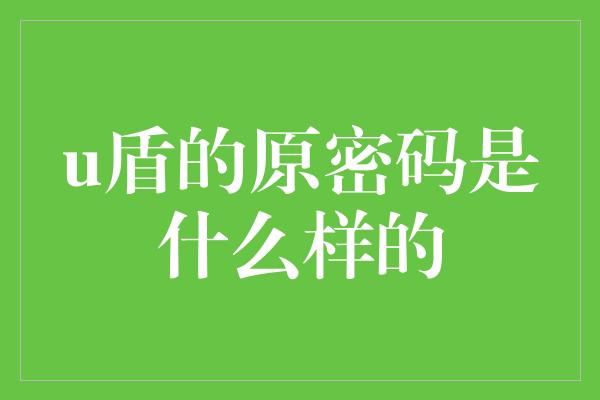 u盾的原密码是什么样的